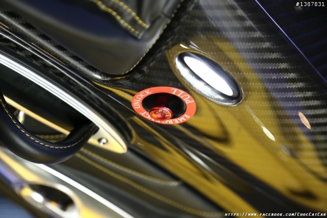 義大利精品超跑 Pagani Huayra& Zonda Revolucion圖多分享