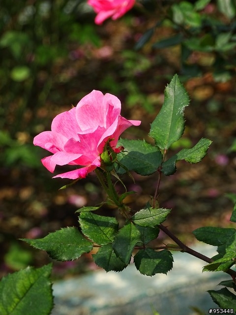Cyber-shot DSC-HX400V
