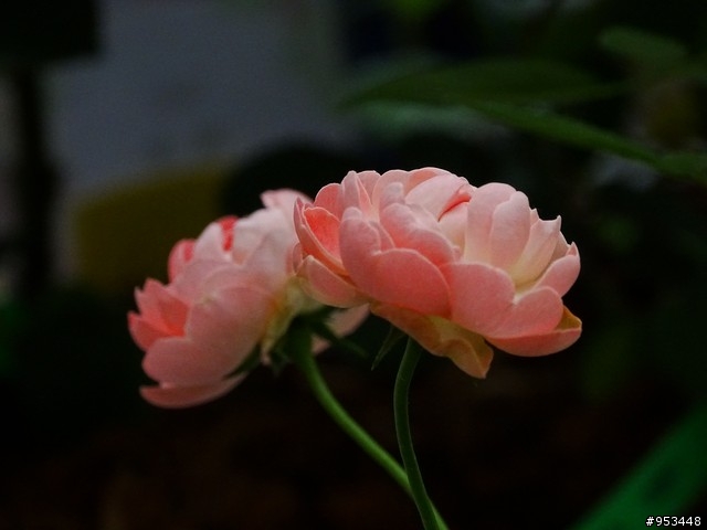 Cyber-shot DSC-HX400V