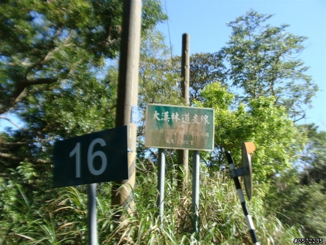 三個老頑童的轉大漢之旅