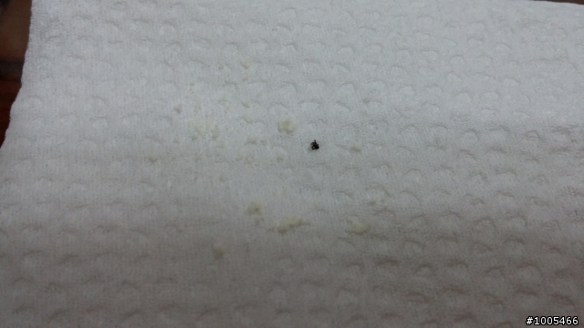 桂格嬰兒奶粉的雜質