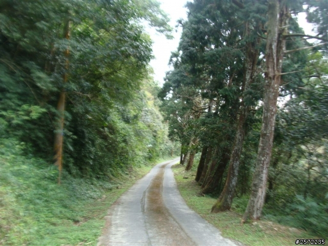三個老頑童的轉大漢之旅
