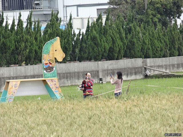 親子旅遊-大雅小麥的故鄉