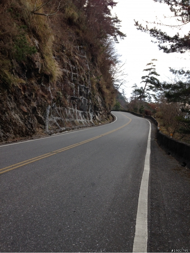 單速車逆騎一日北蘇武