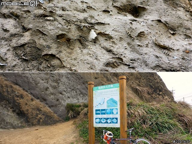 鐵道騎旅：新竹到追分