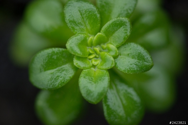 D610 不一樣的視角來蓋樓