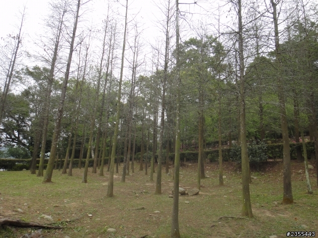 2014/03/21一日漫遊（上）泰安驛站+另類忘憂森林