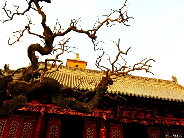 絲路思路 . 一個人旅行 . 穿越時空千里