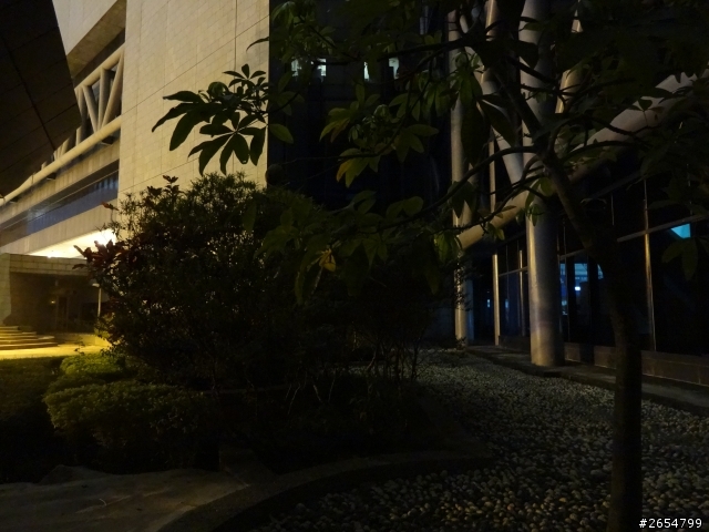 腿了兩個月的QX10 更新感想&夜拍嘗試