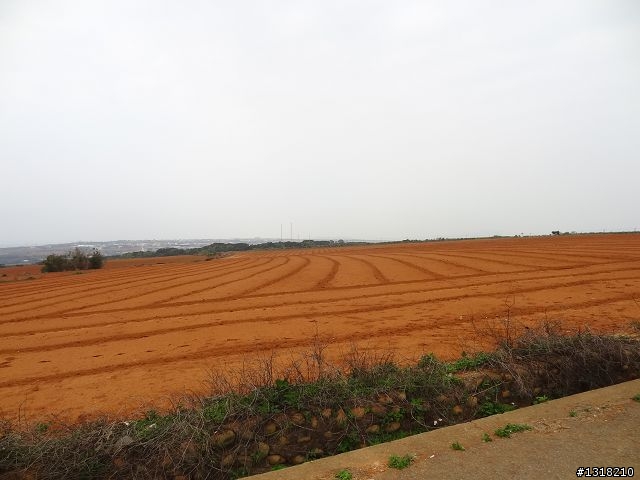 親子旅遊-大雅小麥的故鄉