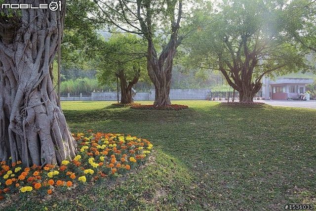 蘿莎玫瑰莊園