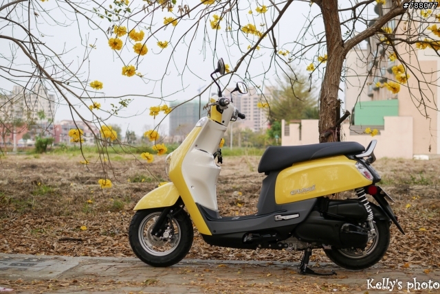 我的NEW CUXI 115新車入荷寫真
