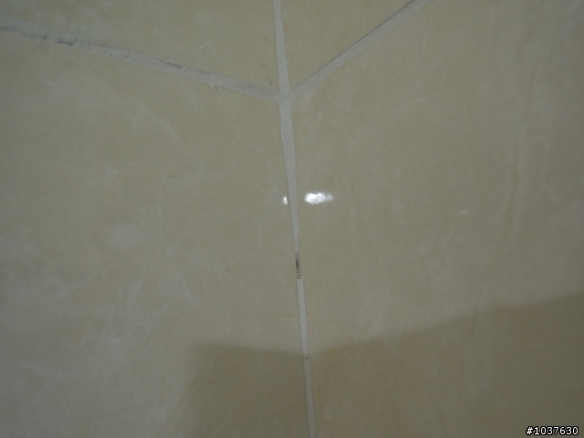 3/18更新~補上報價跟工序-請問 4469/坪 含磚的浴室壁磚工程，是該這樣的品質嗎？