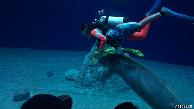 花東3日遊~~~其實Lancer也沒有很耗油啊《圖多甚入》