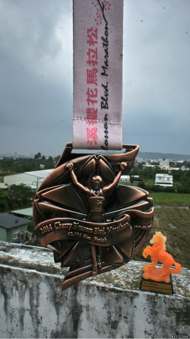 馬年跑初馬 - 2014 雙溪櫻花馬拉松