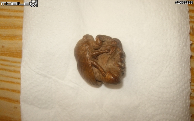請教專家是什麼材質??????