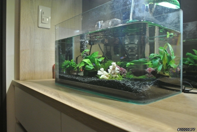 我的簡約風開箱（3/3更新）