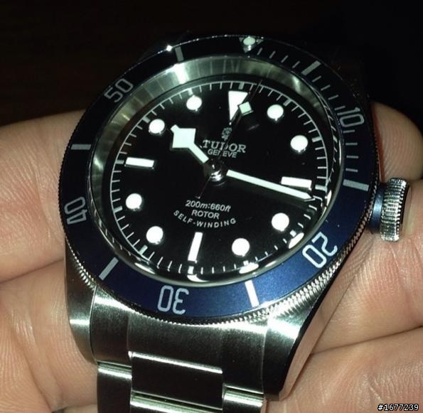 New tudor blue black bay 2014