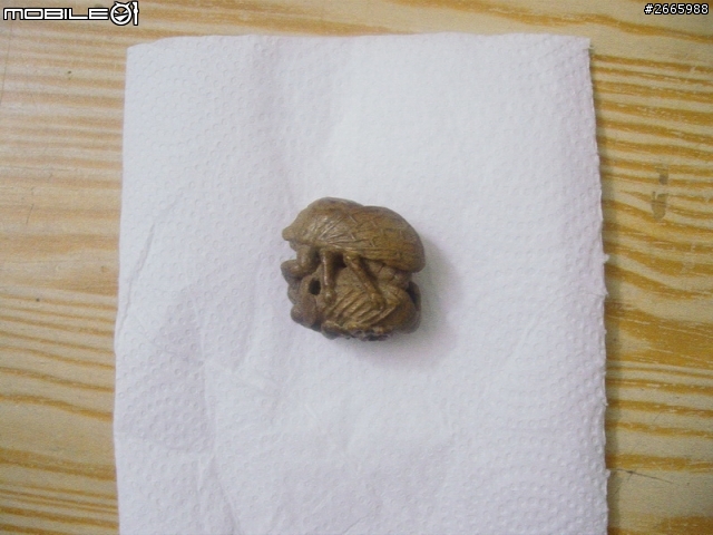 請教專家是什麼材質??????