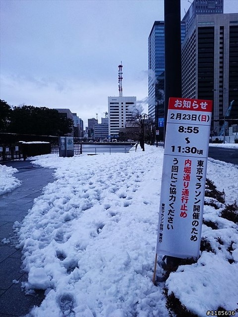 The Day We Unite-2014東京馬拉松 (圖多請耐心欣賞)
