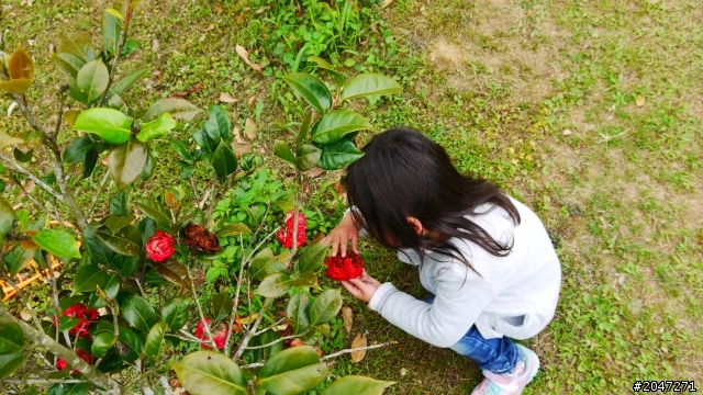 [第九露]終於來朝聖~~老官道