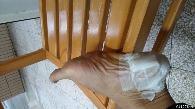 馬年跑初馬 - 2014 雙溪櫻花馬拉松