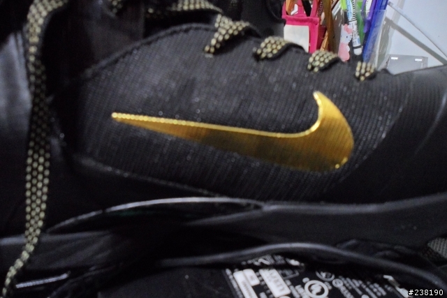 LEBRON 9 ELITE(詹姆士九代菁英版) 開箱文
