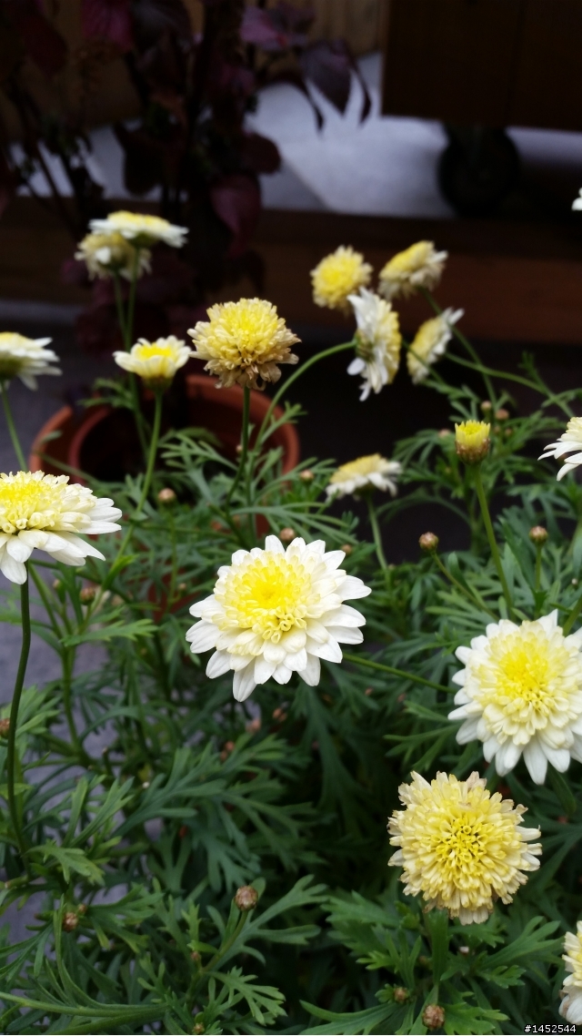 Samsung GALAXY S5 台北體驗會之Victor 體驗文