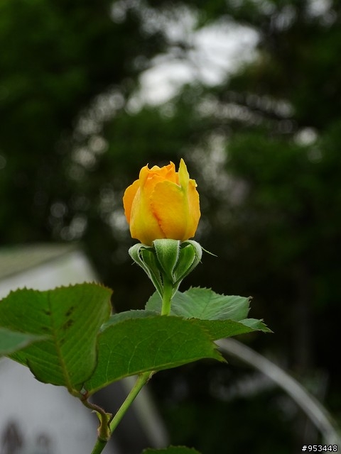 Cyber-shot DSC-HX400V