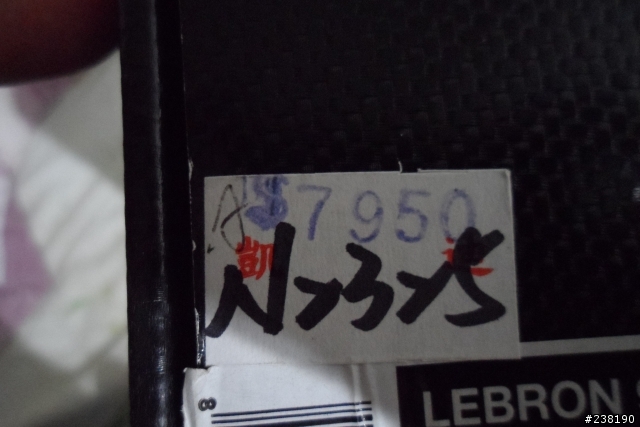 LEBRON 9 ELITE(詹姆士九代菁英版) 開箱文