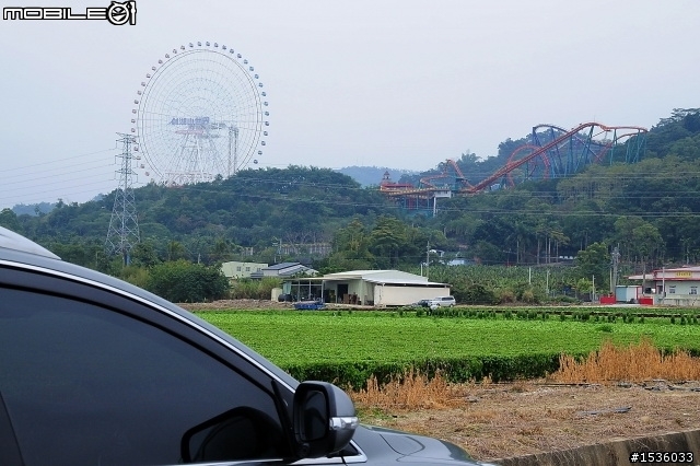 蘿莎玫瑰莊園