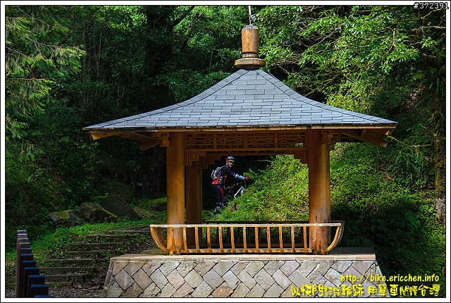 [Eric的單車日記] 天神之路 特富野古道
