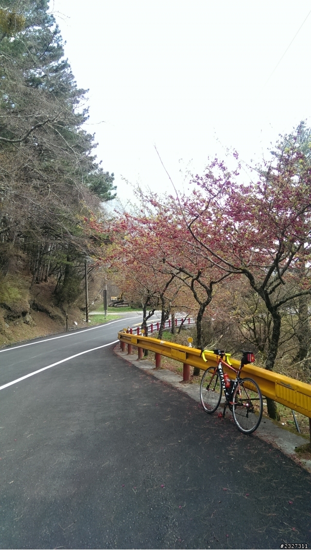 兩天一夜 西東進武嶺 一條路線雙次滿足!!!
