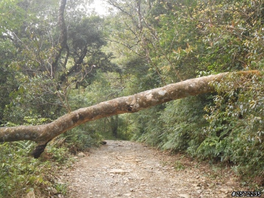 三個老頑童的轉大漢之旅