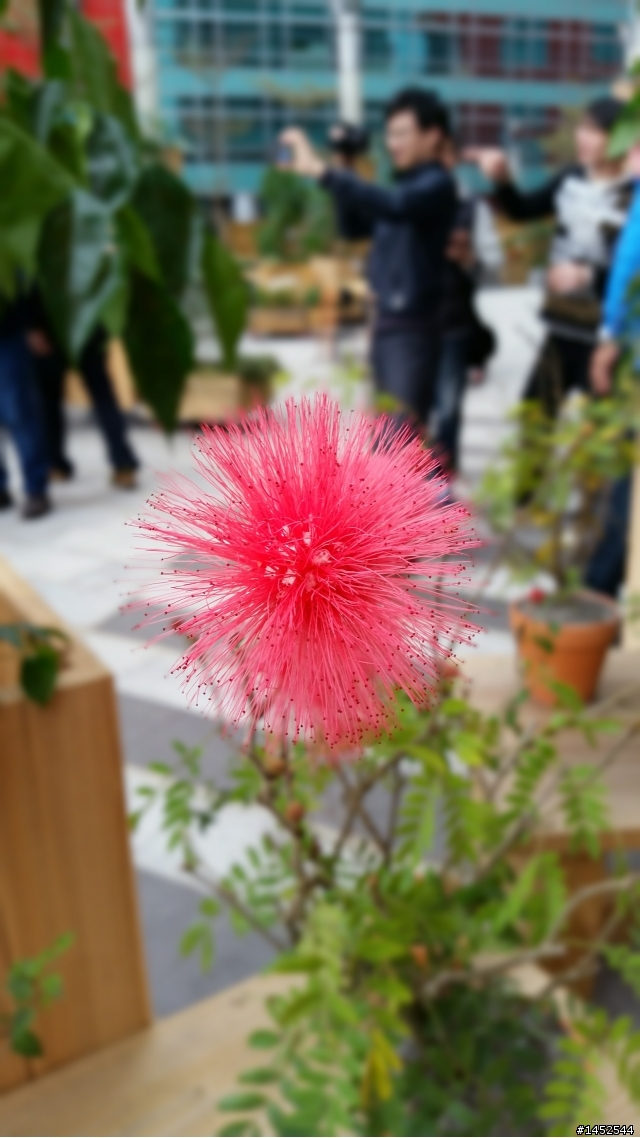 Samsung GALAXY S5 台北體驗會之Victor 體驗文