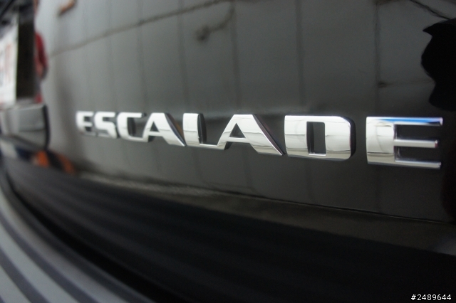 雙硬漢 Ford Ranger vs Cadillac Escalade