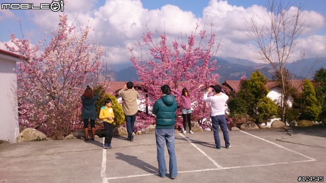 2014.2.28 一日來回武嶺遊記