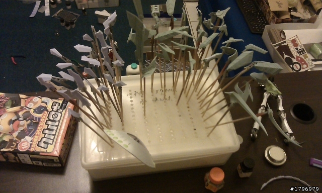 終於!  站起來了~~~