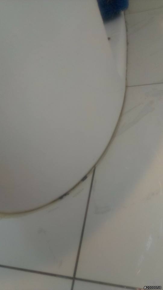 廁所淋浴間地磚發黑 ! 馬桶地磚蓬起處理方式!?