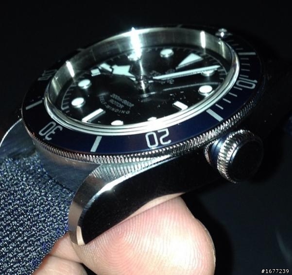 New tudor blue black bay 2014