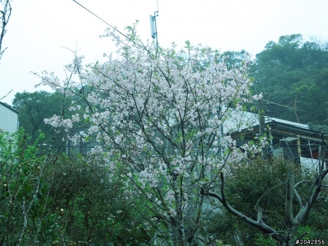 很沒梗的標題:有些事情如果現在不做 以後也許永遠都不會做了(三)