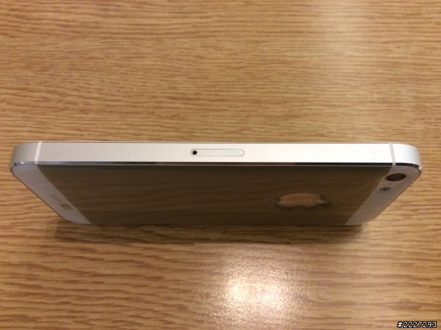 [分享] iphone壁虎貼 - 親愛的我把iphone變壁虎了XD