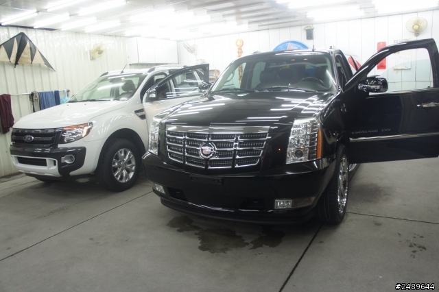雙硬漢 Ford Ranger vs Cadillac Escalade