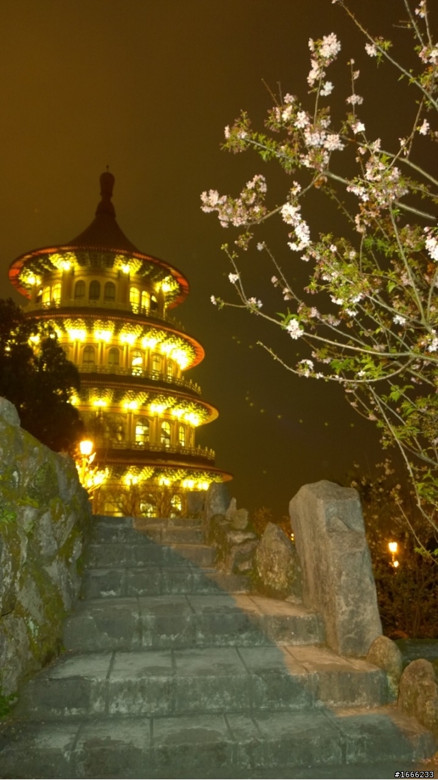【七逃】天元宮櫻花
