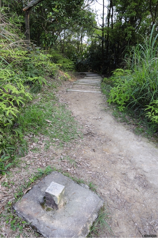 金面山