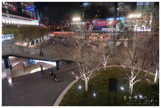 NEX-5R 京阪櫻花自由行 照片分享~