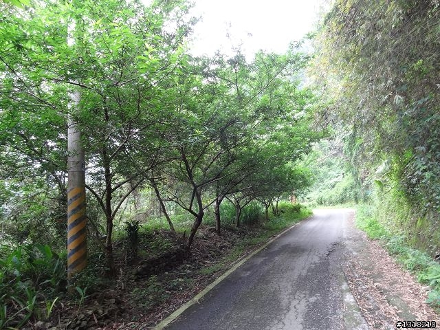 親子旅遊-屏31線之旅