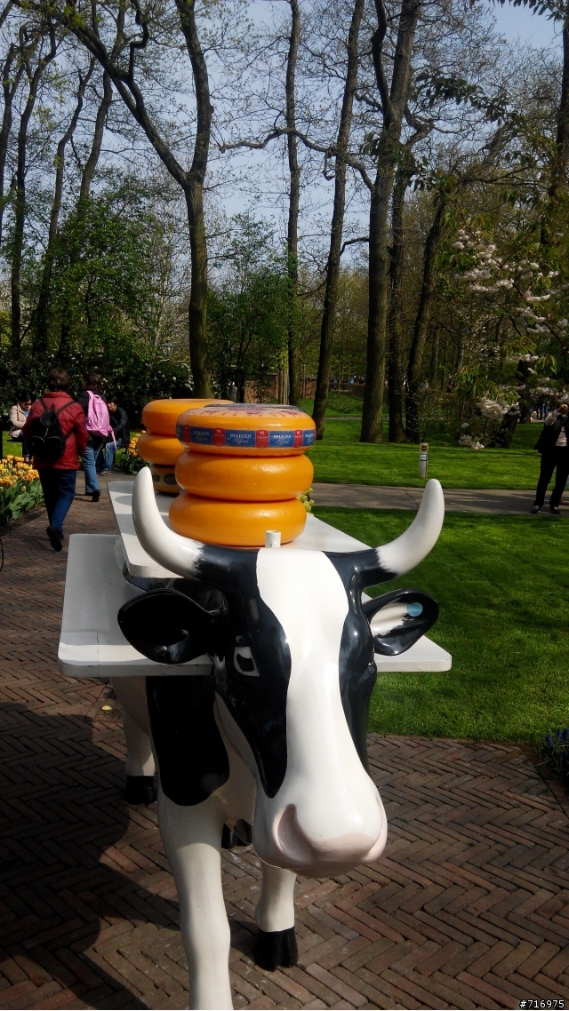2014 荷蘭 霍肯霍夫花園