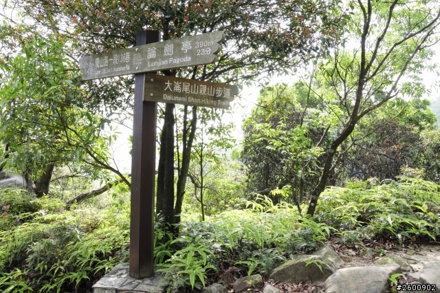 金面山