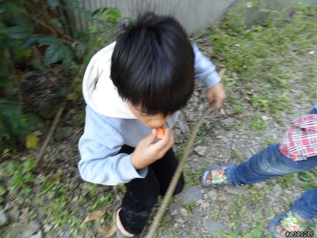 親子旅遊-投85線之旅